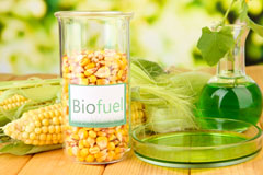Llanthony biofuel availability